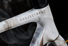 Rower szosowy Trek Madone SLR 9 AXS Gen 8 ICON Terrestrial