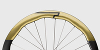 Gloss Gold
