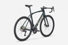 Rower szosowy Domane SL 6 Gen 4 Ivy Smoke 2026