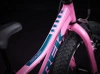 Rower dziecięcy Trek Precaliber 16 Pink Frosting