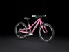 Rower dziecięcy Wahoo 20 Path Pink Frosting