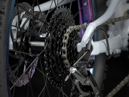 Rower dziecięcy Trek Wahoo 20 Trail Plasma Grey Pearl 2025