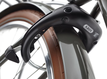 Electra Loft Go! 5i EQ z ramą w wersji damskiej 500 Wh  Portobello 2025