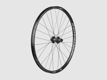 Bontrager Line Comp 30 TLR 29˝ MTB Wheel - tylne