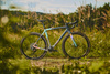 Rower gravel Trek Checkmate SLR 9 AXS  SRAM RED AXS 1x13 -  X Topo Designs Collab